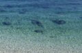 Spiagge e Mare
