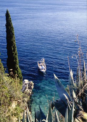 Escursioni in barca