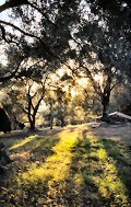 L'alba a Corf�