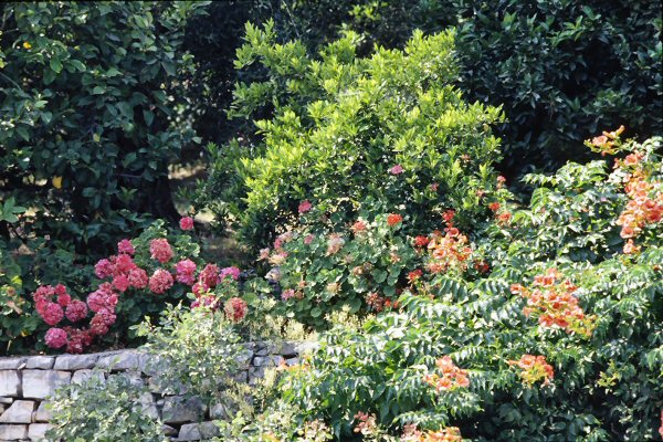 Il giardino del villaggio