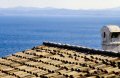 Holiday homes and villas