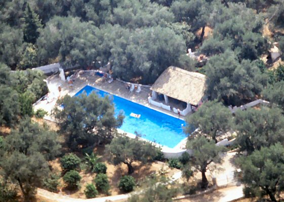 Landscape around the pool