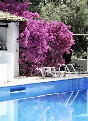 Swimming pool with sea water