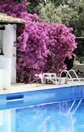 La piscina del villaggio