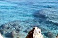 Shallow reef