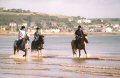 Equitazione