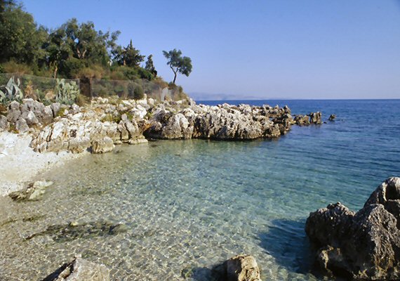 Wildlife and vegetation by the sea
