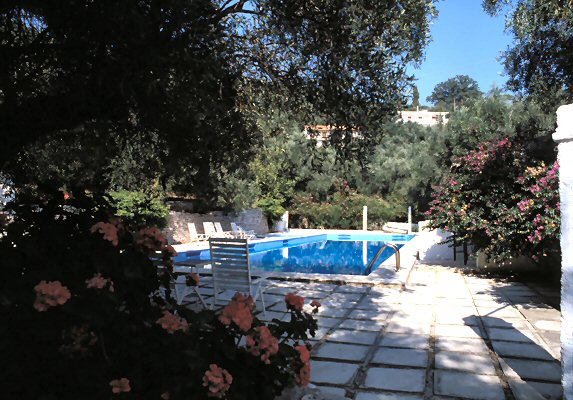 Shady area by the pool