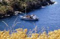 Snorkeling in Ionian Sea