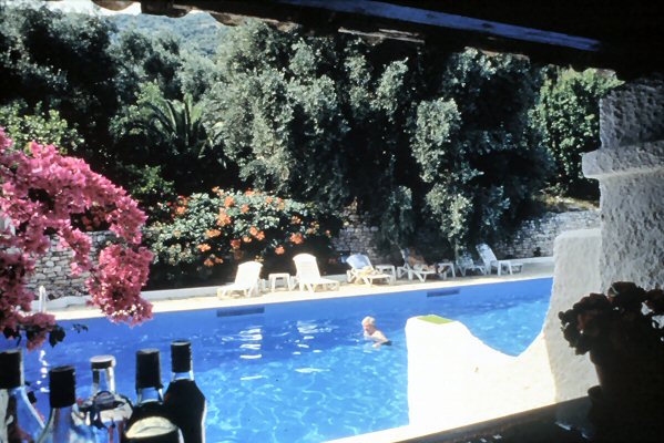 Pool fun