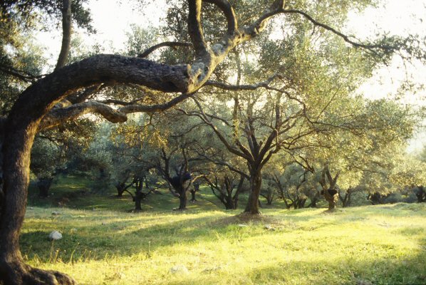 Walking tours and itineraries