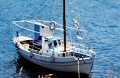 Barche di pescatori
